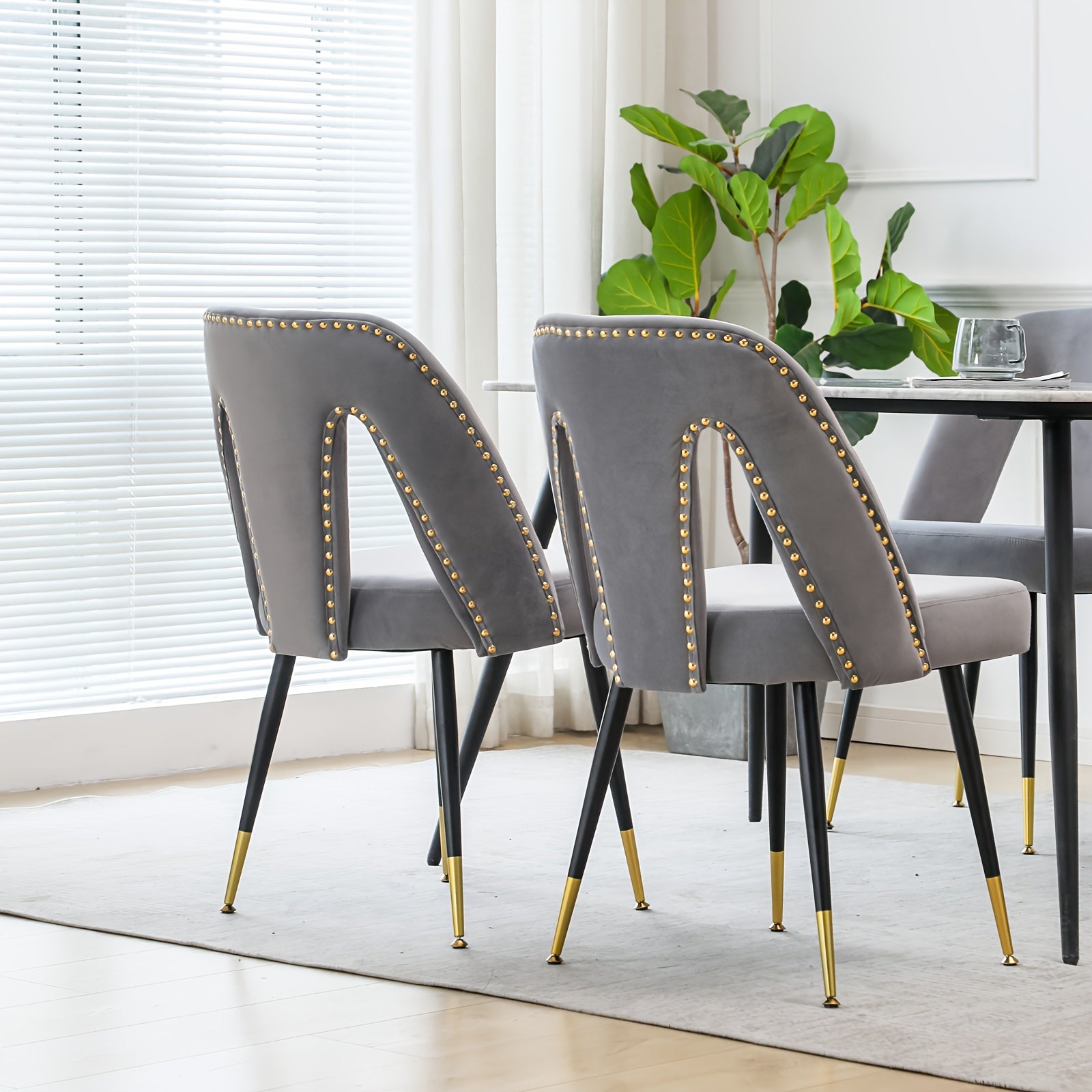 Set Of 2, Furniture, Collection Modern Contemporary Velvet Upholstered Dining Chair With Nailheads And Golden Tipped Metal Legs